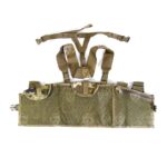 Tactical Assault Panel TAP Panel Multicam OCP, Chest Rig