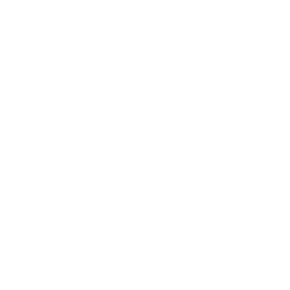 smiths surplus logo